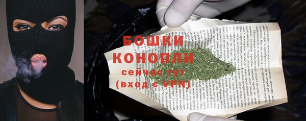 индика Семикаракорск