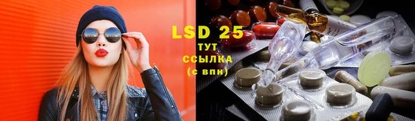 соль ск Вяземский