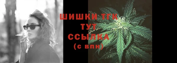 амф Семилуки
