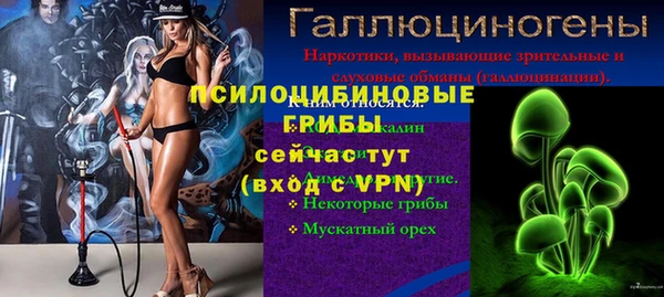 герыч Вязьма