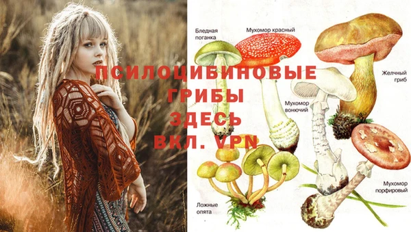 стафф Бугульма